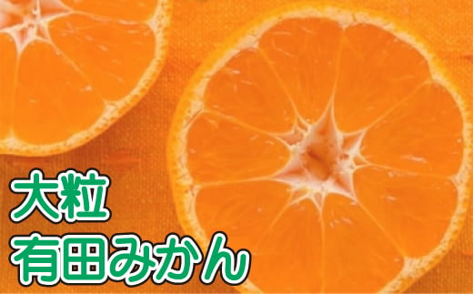 先行予約 【果汁たっぷり】迫力満点！ 大粒 有田みかん 10kg【2024年11月中旬～12月下旬順次発送予定】【ard055B】