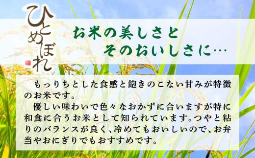 【令和6年産】ひとめぼれ　精米5kg　一等米！　【07461-0011】