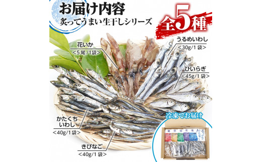 鹿児島県阿久根市産！生干しシリーズ(5種)国産 生干し おつまみ おかず 魚介 魚貝 海産物 干物 ひもの【マルフク川畑水産】a-12-55-z