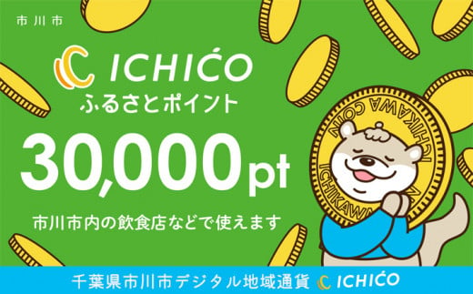 デジタル地域通貨ICHICOふるさとポイント30,000pt【12203-0219】