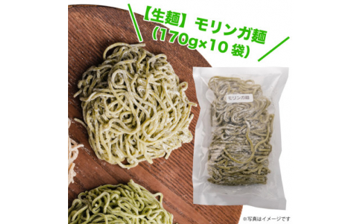 ＜生麺＞もちもち触感のモリンガ麺10食セット【1387632】