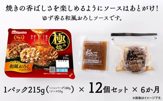 【定期便】極み焼きハンバーグ（和風おろしソース）セット定期便6か月 定期便 