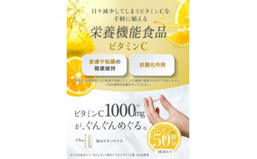 ビタミンCサプリメント ILUS リポソームビタミンC配合 ビタミンC1,000mg 30日/90粒【1490398】