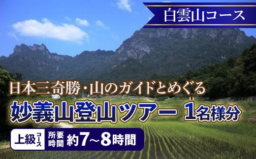 《上級コース》日本三奇勝・山のガイドとめぐる妙義山登山ツアー【白雲山コース】 (1名様分)  日本三奇勝 妙義山 登山 山岳 ツアー 上級 ガイド付き 観光 F21E-208