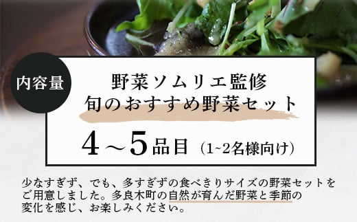 【数量限定】野菜ソムリエ 監修 旬の おすすめ 野菜 セット ４〜5品 (1〜2名様向け) 野菜 獲れたて 直送 旬 熊本県 多良木町 024-0801