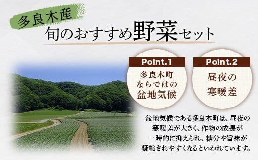 野菜ソムリエ監修 旬のおすすめ野菜セット ４〜5品