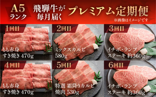 【定期便 12回】 A5 飛騨牛 天狗 牛肉 (ステーキ / 焼き肉 / すき焼き /希少部位 赤身 / 霜降り) 1年間 お楽しみ サーロイン カルビ イチボ ランプ もも 肩ロース肉 希少部位 12カ月 肉ギフト 国産 焼肉 すきやき しゃぶしゃぶ 300000円 30万円