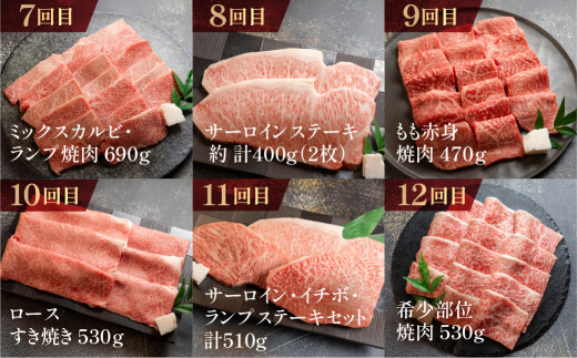 【定期便 12回】 A5 飛騨牛 天狗 牛肉 (ステーキ / 焼き肉 / すき焼き /希少部位 赤身 / 霜降り) 1年間 お楽しみ サーロイン カルビ イチボ ランプ もも 肩ロース肉 希少部位 12カ月 肉ギフト 国産 焼肉 すきやき しゃぶしゃぶ 300000円 30万円