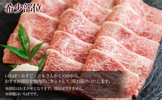 【定期便 12回】 A5 飛騨牛 天狗 牛肉 (ステーキ / 焼き肉 / すき焼き /希少部位 赤身 / 霜降り) 1年間 お楽しみ サーロイン カルビ イチボ ランプ もも 肩ロース肉 希少部位 12カ月 肉ギフト 国産 焼肉 すきやき しゃぶしゃぶ 300000円 30万円