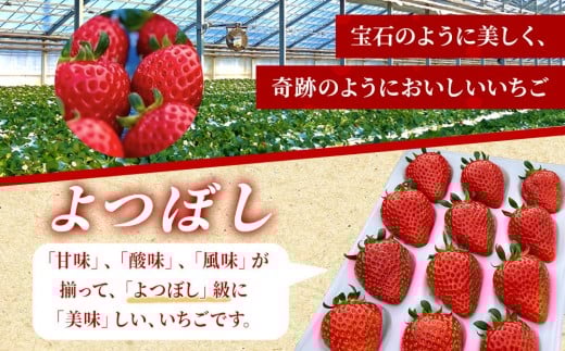 よつぼしいちご　約600g（約300g×2パック）