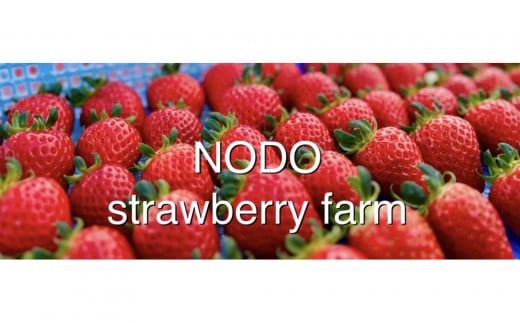 よつぼしいちご　約600g（約300g×2パック）