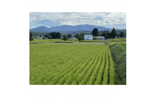 令和4年産　山形県川西町産　特別栽培米　精米　つや姫　10kg(5kg×2袋)【1339974】