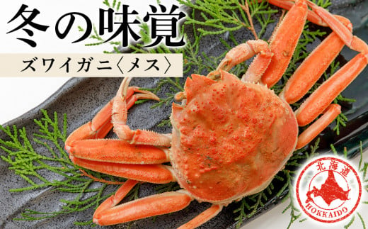 北海道産 生大ズワイガニ メス 2kg （加熱用） ずわいがに 蟹 オオズワイガニ オオズワイ 〈斉藤水産〉