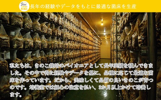 ☆採れたて新鮮定期便(１kg×５ヵ月)☆ 厳選！！新居浜産菌床生しいたけ １kgを毎月お届け！！(合計５回)