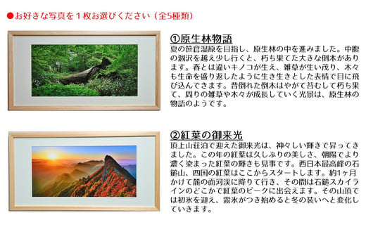 【紅葉の御来光】写真フレーム【久万材フレーム入り風景写真 842mm×442mm】｜ 絵画 久万 石鎚 風景 景色 アート作品 額縁 手作り 木工 ヒノキ 手仕事　※離島への配送不可