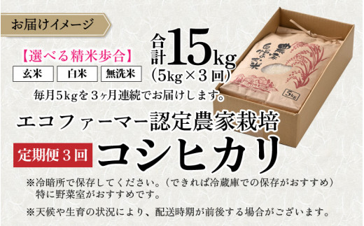 【令和6年産】【3ヶ月定期便】越前大野産 エコファーマー認定農家栽培こしひかり 無洗米 5kg × 3回 計15kg