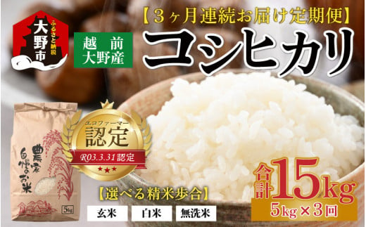 【令和6年産】【3ヶ月定期便】越前大野産 エコファーマー認定農家栽培こしひかり 無洗米 5kg × 3回 計15kg