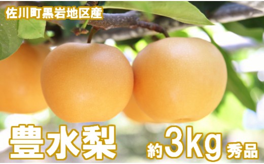 <2024年秋発送　先行予約>　豊水　梨（約３kg／4～7玉）【期間限定】黒岩