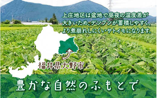 【先行予約】【3月発送分】満天☆上庄産さといも3kg 日本一の味をめざし、有機肥料配合、減農薬栽培の「独自栽培」で作る里芋