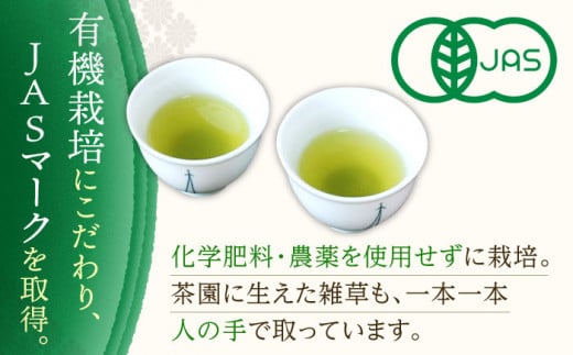 【有機栽培茶】一煎茶 ティーバッグ 厳選 4種 飲み比べ セット （各3g×10個入）【宝緑園】 [QAH032] お茶 有機栽培 お茶 佐々 長崎 お茶 お茶