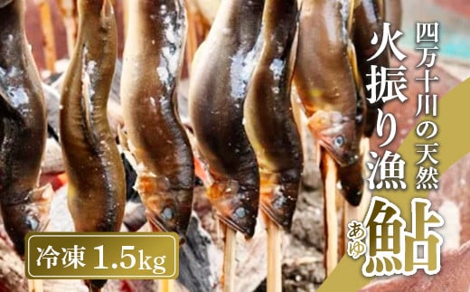 四万十川上流の天然鮎 新もの冷凍 火振り漁鮎 1.5kg ( 冷凍 5～18尾 ) 鮎 あゆ アユ 川魚 高知県 四万十 天然 冷凍