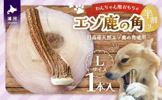 北海道日高産の天然エゾ鹿の角で作った、わんちゃんのおもちゃです！