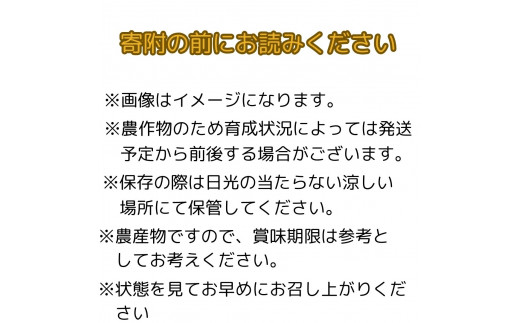 【南信州高森産】南水3kg ＜９月下旬発送＞