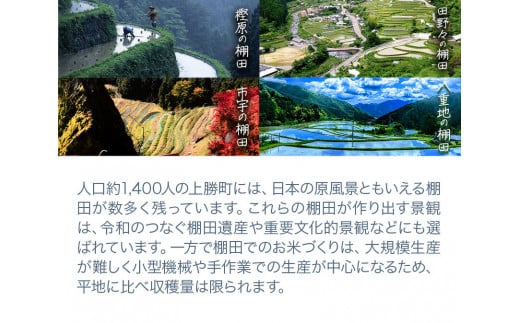 たなだあいす 4個 かみかつ棚田未来づくり協議会 《30日以内に出荷予定(土日祝除く)》 徳島県 上勝町 ふるさと納税