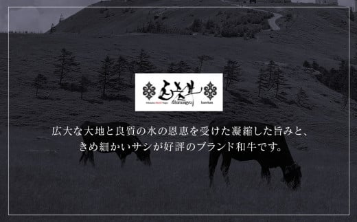 北海道産 白老牛 ブルーチーズハンバーグ 5個セット 冷凍 牛肉 肉 白老