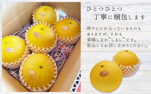 熊本県たまな産 キンショウメロン 3kg | フルーツ 果物 くだもの メロン 熊本県 玉名市