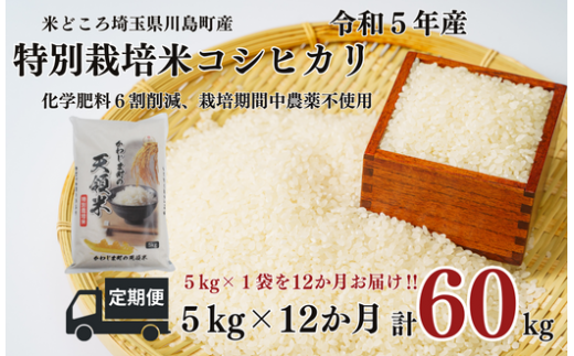 定期便 12か月連続お届け 特別栽培米 コシヒカリ 白米 5kg （5kg×1袋）×12回  計60kg 食味値80以上 栽培期間中農薬不使用 有機肥料 かわじま町の天領米 令和5年産 2023年産 小分け 米 コメ 安心 安全  減農薬 埼玉県認証 埼玉県 川島町