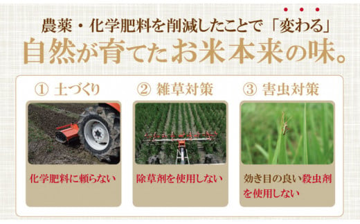 令和6年度産  佐賀県認定 特別栽培米 小城のお米（さがびより・ヒノヒカリ・夢しずく）　3種類×2kg 田中農場