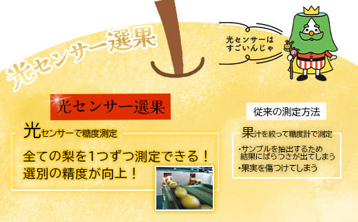 最高級 蔵王の梨  新高  約5kg 特秀･大玉　【04301-0718】梨 なし 果物 くだもの スイーツ フルーツ デザート 甘い ジューシー 蔵王