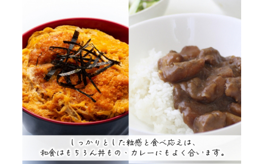 新米 令和6年産 まっしぐら 無洗米 10kg (5kg×2袋) 米 白米 こめ お米 おこめ コメ ご飯 ごはん 令和6年 H.GREENWORK 青森 青森県