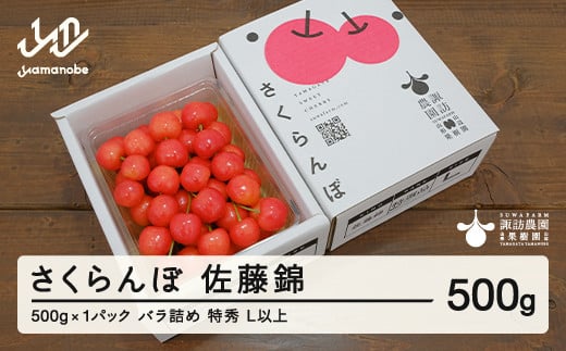 《先行予約》2025年 山形県産 さくらんぼ 佐藤錦 500g バラ詰め(パック) 特秀 L以上 2025年6月中旬から順次発送 F20A-904