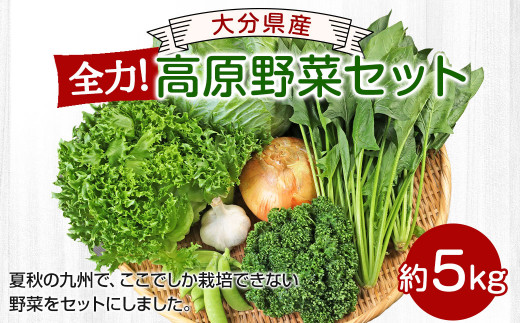 大分県産 全力！ 高原野菜 セット 約5kg (5～8品程度) 