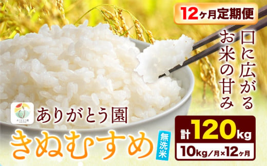 186.【12ヶ月定期便】令和6年産 米 岡山県産 きぬむすめ 無洗米 選べる 10kg ありがとう園《お申込み月の翌月から出荷開始》岡山県 矢掛町 無洗米 米 コメ 一等米 定期便 定期