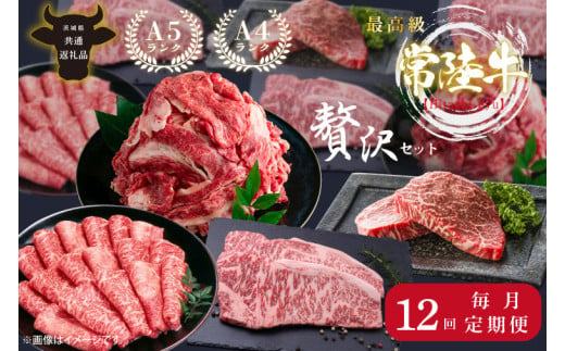 【12回定期便】最高級A4.A5ランク 常陸牛贅沢セット【人気肉 お肉 牛肉 和牛 黒毛和牛 国産黒毛和牛 ロース肉 ステーキ 国産牛 焼肉 焼き肉 バーベキュー BBQ A5 ブランド牛】（CR014）