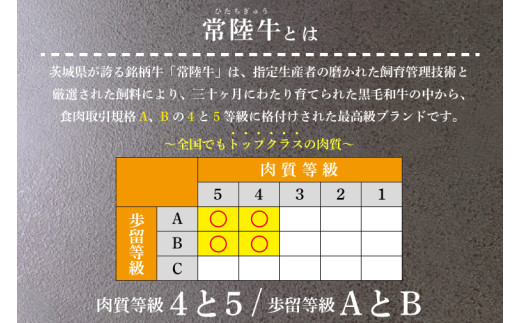 【12回定期便】最高級A4.A5ランク 常陸牛贅沢セット【人気肉 お肉 牛肉 和牛 黒毛和牛 国産黒毛和牛 ロース肉 ステーキ 国産牛 焼肉 焼き肉 バーベキュー BBQ A5 ブランド牛】（CR014）