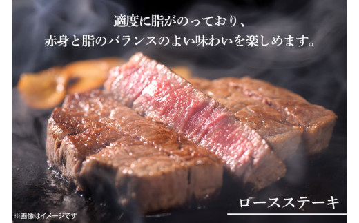 【12回定期便】最高級A4.A5ランク 常陸牛贅沢セット【人気肉 お肉 牛肉 和牛 黒毛和牛 国産黒毛和牛 ロース肉 ステーキ 国産牛 焼肉 焼き肉 バーベキュー BBQ A5 ブランド牛】（CR014）