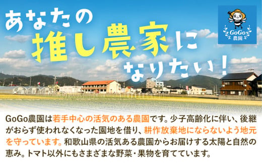 みかん 温州みかん ご家庭用 5kg サイズ混合 GOGO農園《11月上旬-1月中旬頃出荷》 和歌山県 日高川町 うんしゅうみかん みかん 柑橘 蜜柑 フルーツ 送料無料