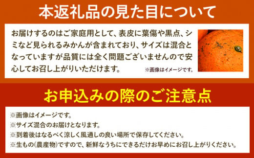 みかん 温州みかん ご家庭用 5kg サイズ混合 GOGO農園《11月上旬-1月中旬頃出荷》 和歌山県 日高川町 うんしゅうみかん みかん 柑橘 蜜柑 フルーツ 送料無料