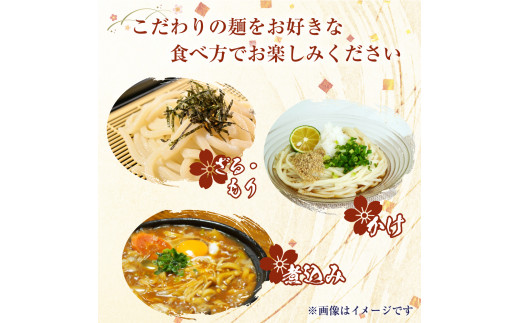 生うどん太麺１２袋セット　自家製激辛とうがらし付き