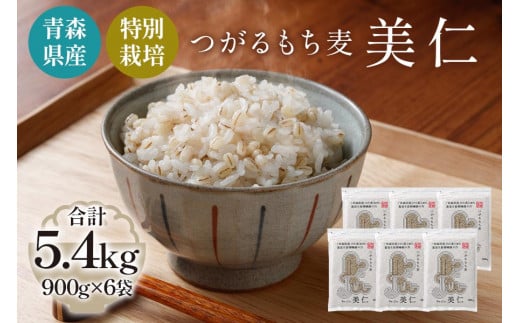 [青森県産もち麦・特別栽培] (農薬・化学肥料不使用) つがるもち麦 美仁 900g×6袋｜津軽 食物繊維 [0347]