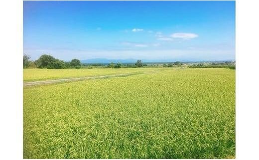 ◆実生庵の近江米四季風流【琵琶の龍神】精米5kg×1袋 滋賀県高島市産 生産者直売100%