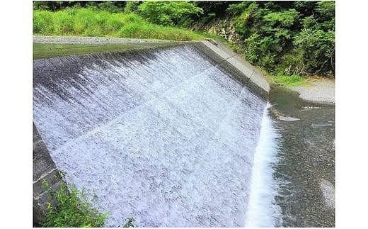 ◆実生庵の近江米四季風流【琵琶の龍神】精米5kg×1袋 滋賀県高島市産 生産者直売100%