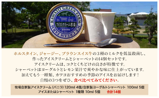 カワヨグリーン牧場自家製アイスクリーム、シャーベット14個セット ふるさと納税 人気 おすすめ ランキング 14個 セット アイスクリーム アイス シャーベット バニラ バニラアイス 人気 詰合せ 詰め合わせ アソート 牧場 ミルク ホルスタイン ジャージー ブラウンスイス牛 おいらせ 青森 青森県 おいらせ町 送料無料 OIR101