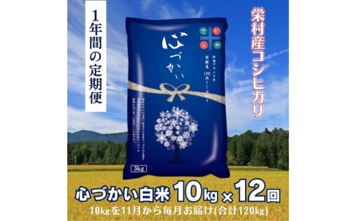 【定期便・白米10kgを1年間発送】11月発送栄村産コシヒカリ最高評価特Ａ米「心づかい」10kg×12ヶ月（令和6年産）