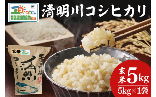 04-19 茨城県特別栽培認証 清明川コシヒカリ玄米 5㎏【令和6年産新米】【米 おこめ こしひかり  特別栽培米 農家直送 直送 茨城県 阿見町】