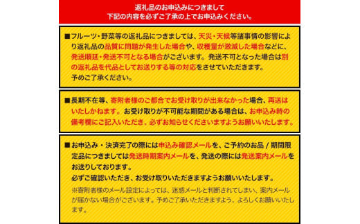 福岡県産 春あまおう 4パック 南国フルーツ株式会社《2月上旬-3月末頃出荷》福岡県 鞍手町 あまおう いちご イチゴ 送料無料【配送不可地域あり】